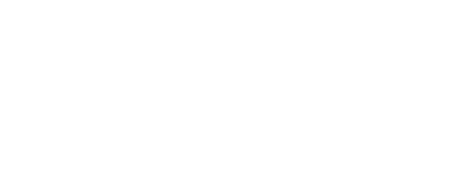Vemzu logo